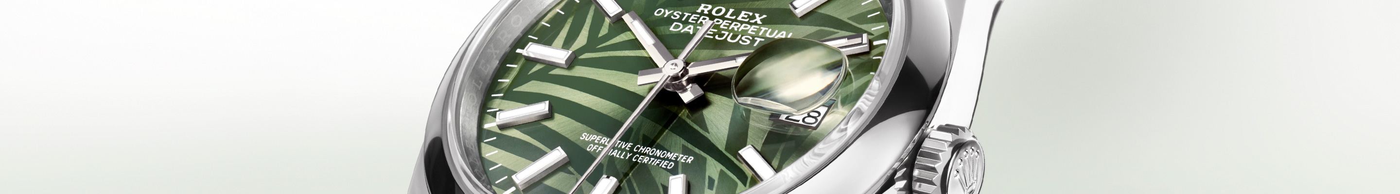 Rolex Datejust family banner